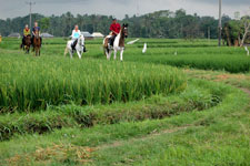Bali-Bali South-Bali on Horseback